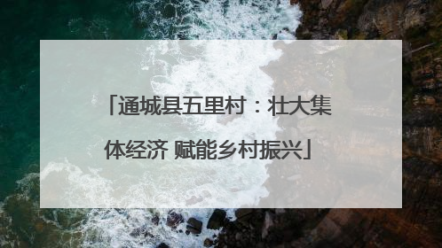 通城县五里村：壮大集体经济 赋能乡村振兴
